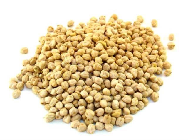 Chickpea