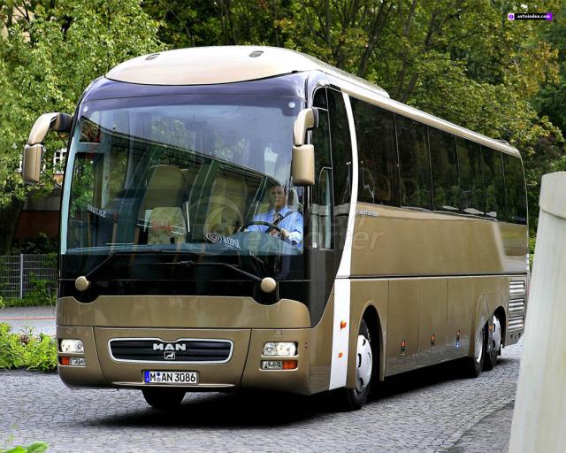 Coach Lion's Coach - Lion's Coach-L