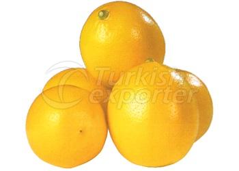 Enterdonate Lemon