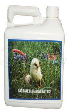 Akıllı Prolive Katmanı