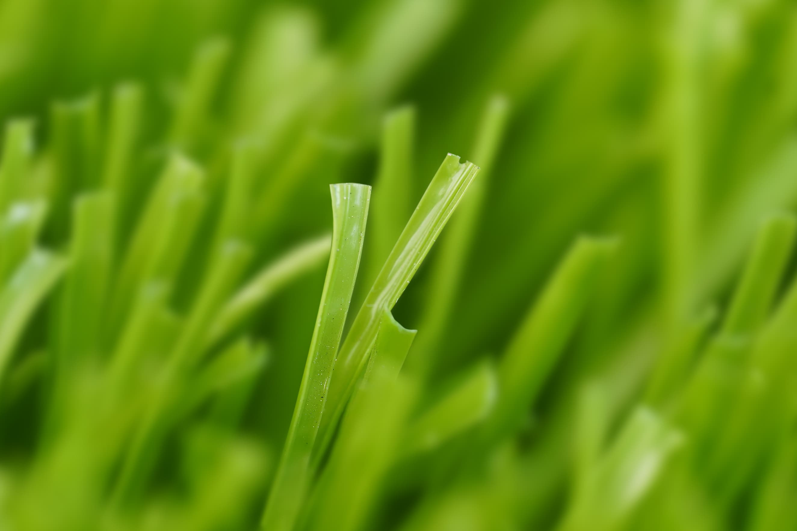 Synthetic Turf