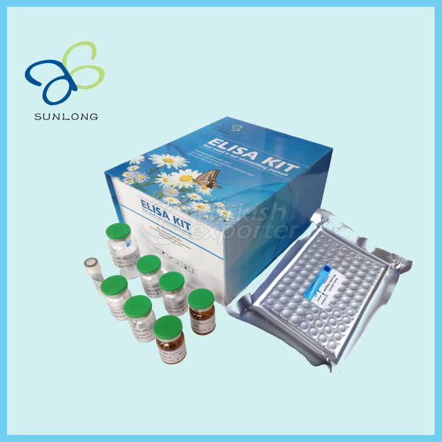 Human TGF-beta ELISA Kit