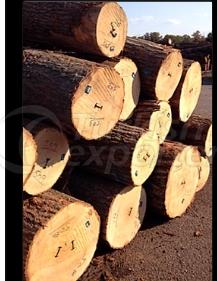 Logs