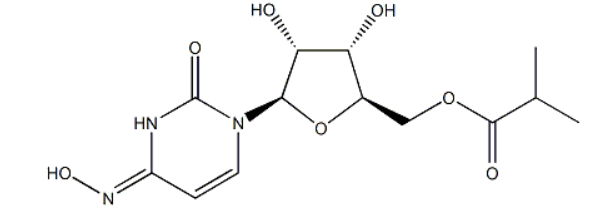 Molnupiravir;EIDD-2801