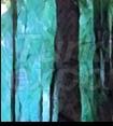 Veneer