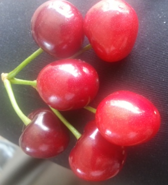 CHERRY