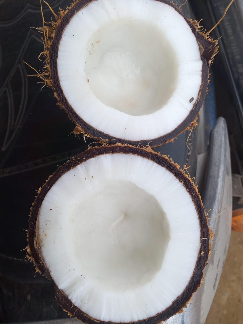 Semi Husked coconuts 