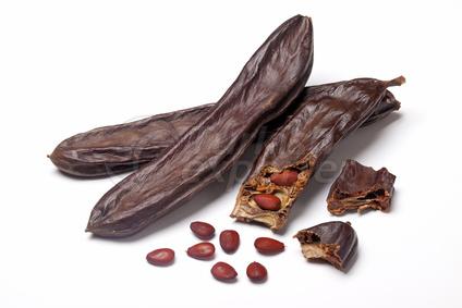 carob and carob pods,carop powder