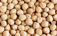 Chickpea