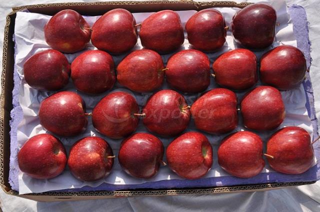 Fresh Apple Fruits for Sale