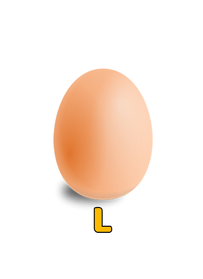 L Size Egg