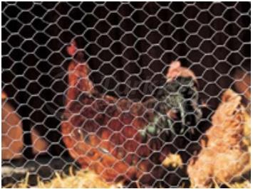 Hexanet Fence