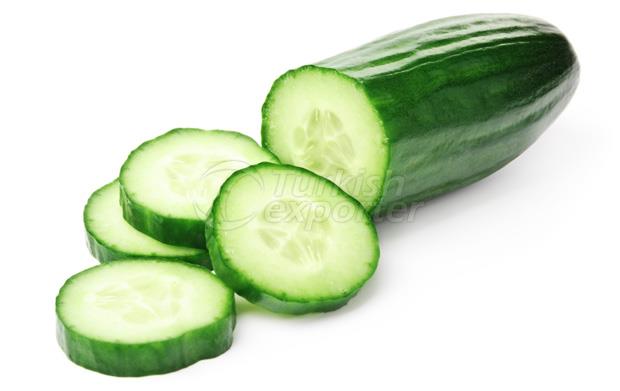 Cucumber