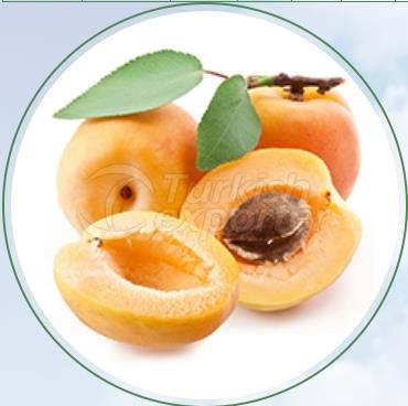 Apricot Igdir Sugarapricot