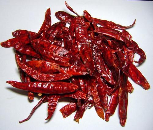 red chilli 