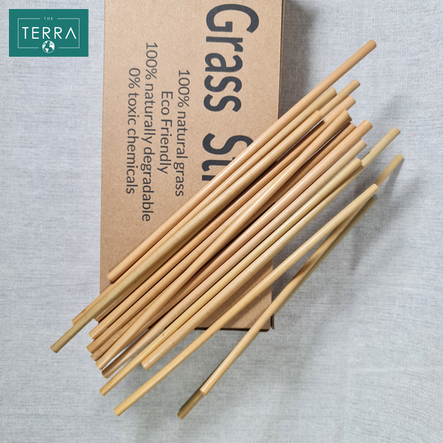 Grass straws  (Lepiroia 34)