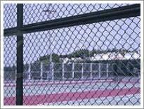 chain  link  fence