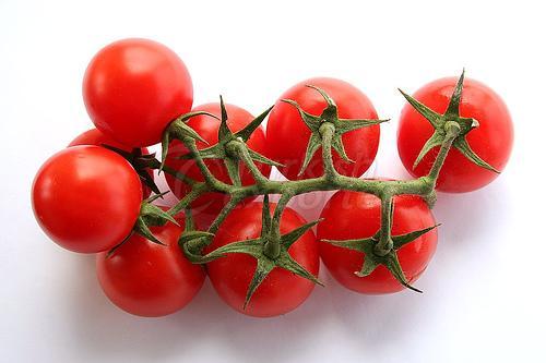Salkim Domates