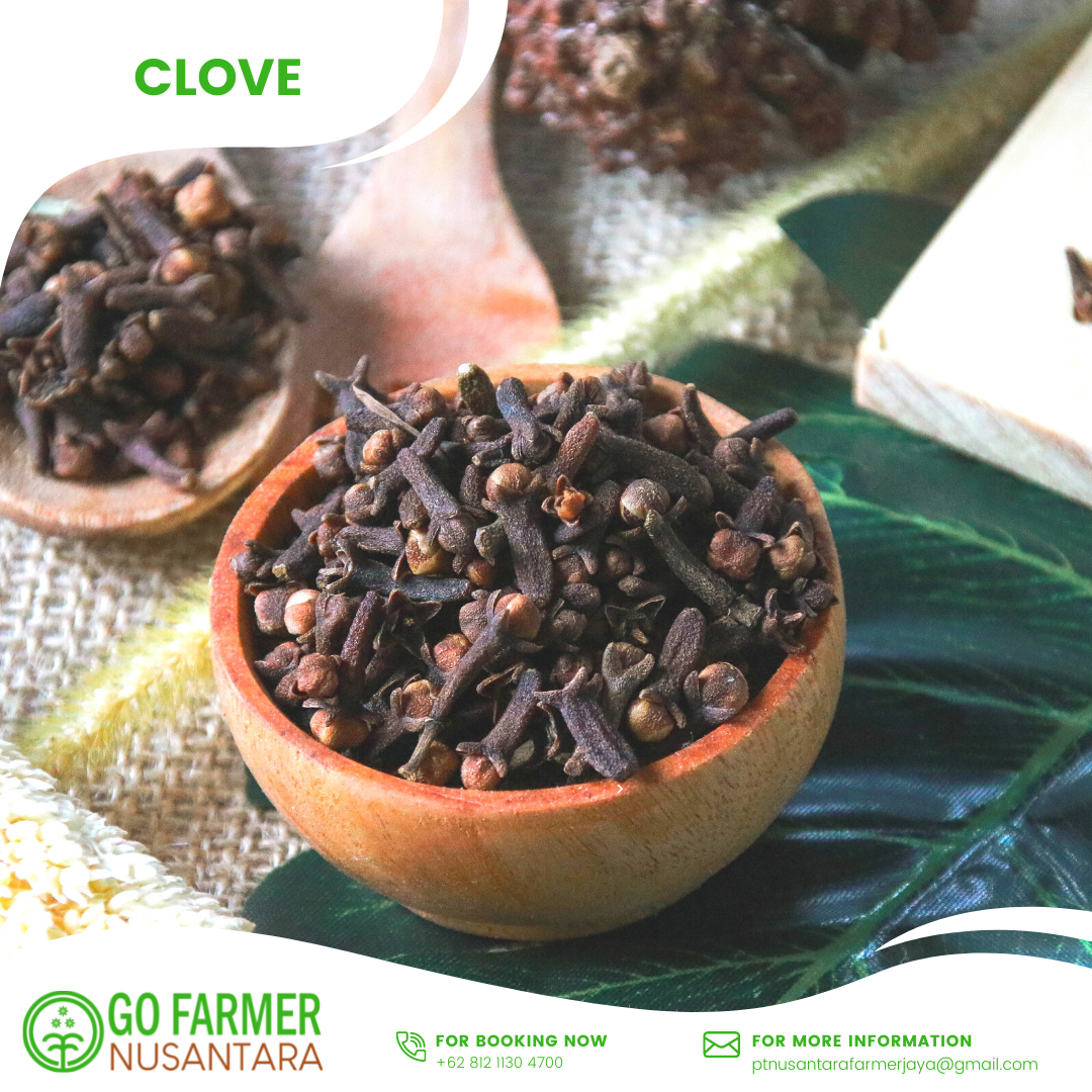 Clove