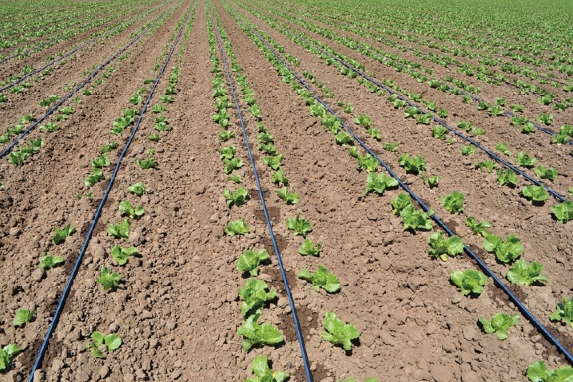 Tubo de irrigação por gotejamento plano