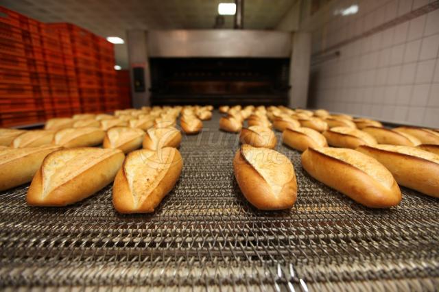 Bread