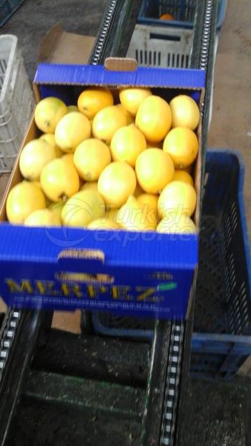 Limon