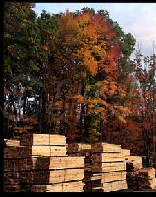 Lumber