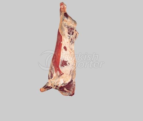Carcass