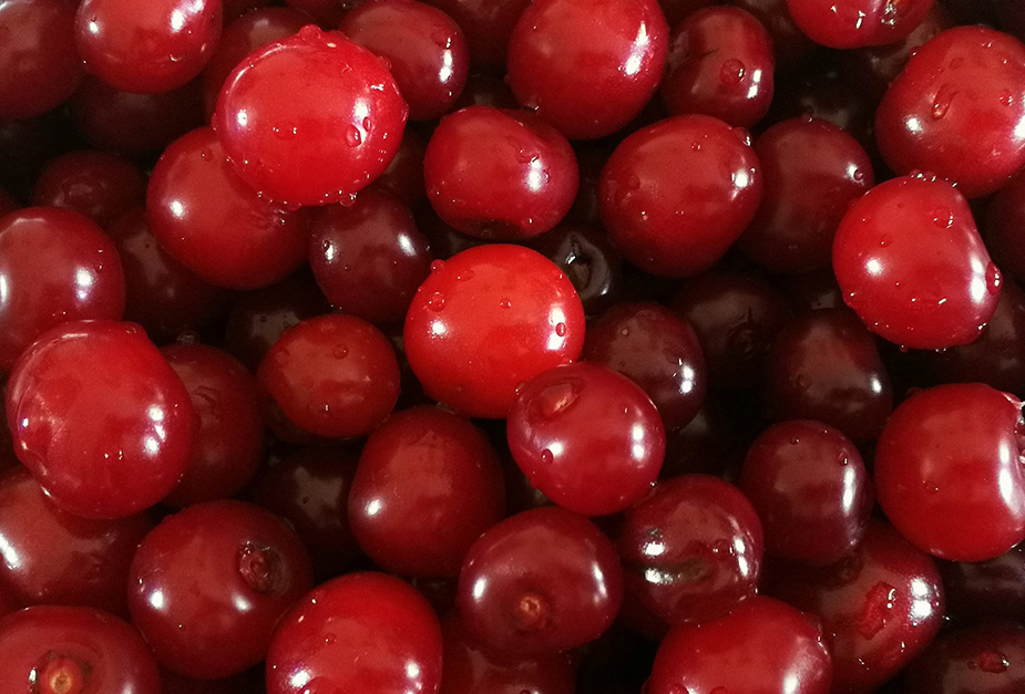 SOUR CHERRY