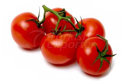 Tomato