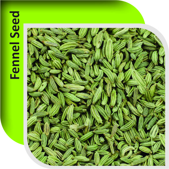 FENNEL SEEDS