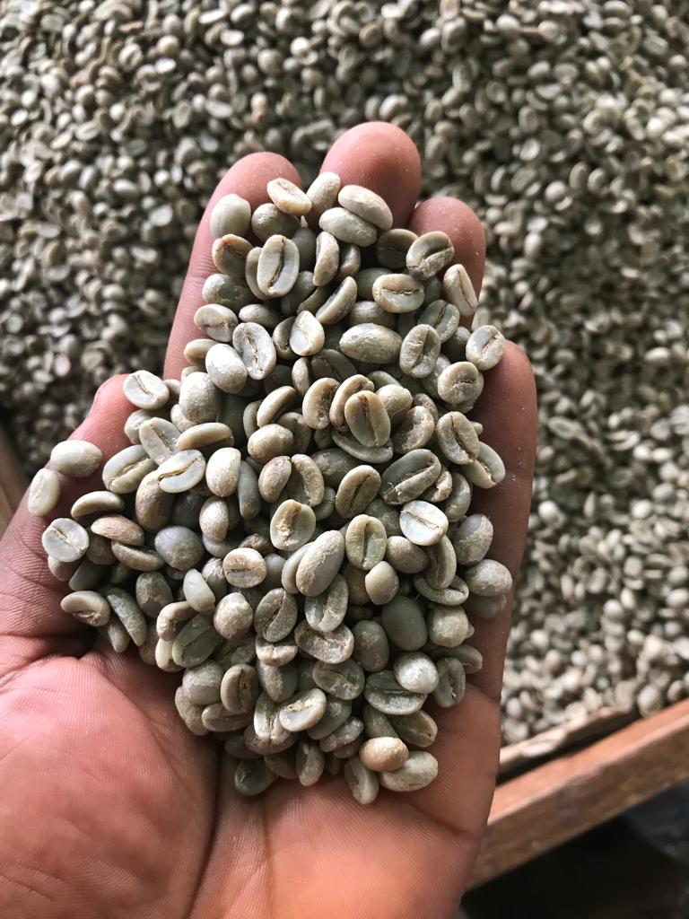 ARABICA COFFEE BEANS