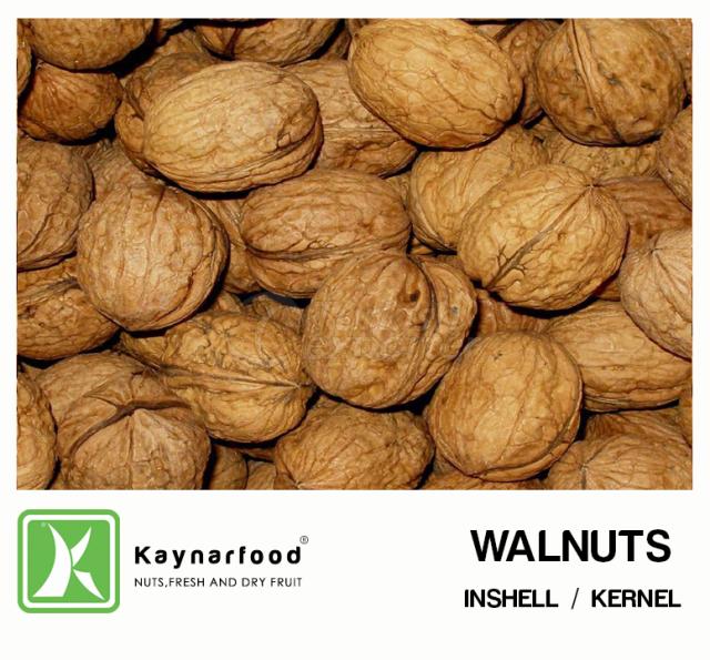 Walnut