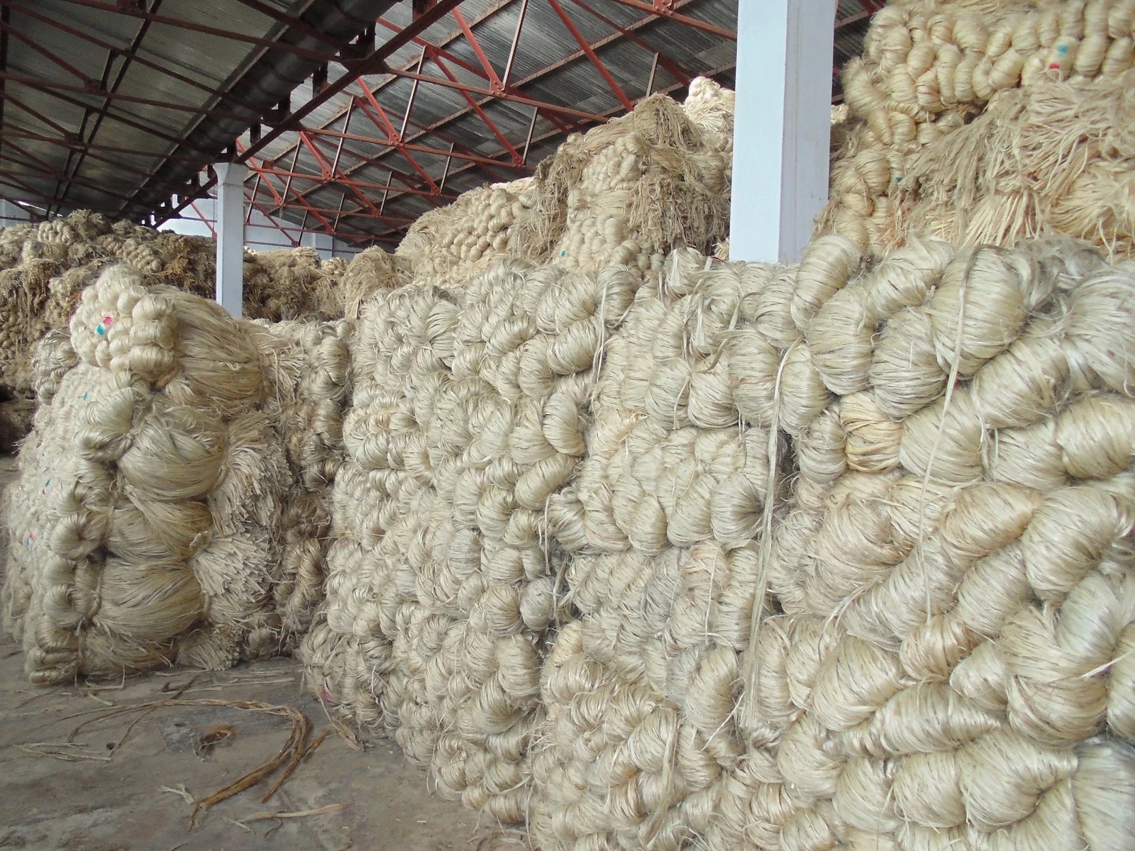 Raw Jute