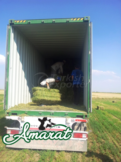 Alfalfa Hay Bales