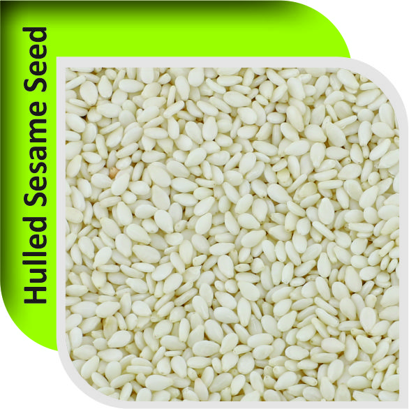 HULLED SESAME SEEDS