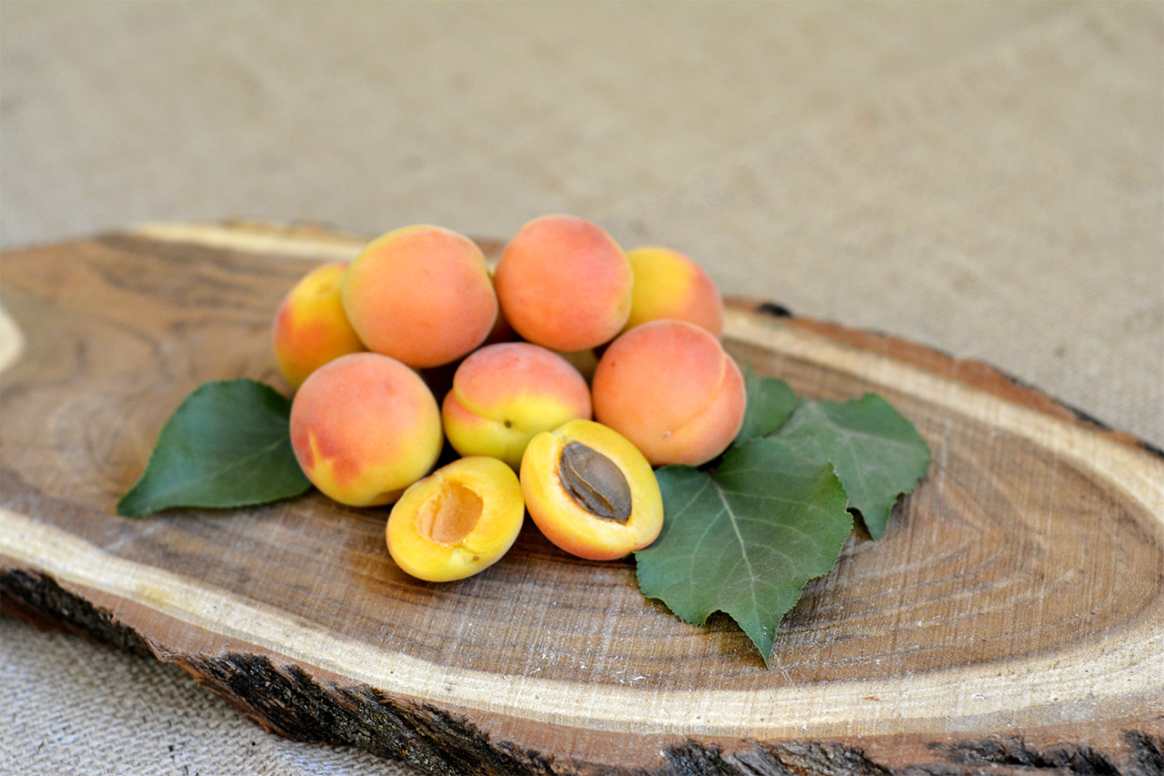 Apricot