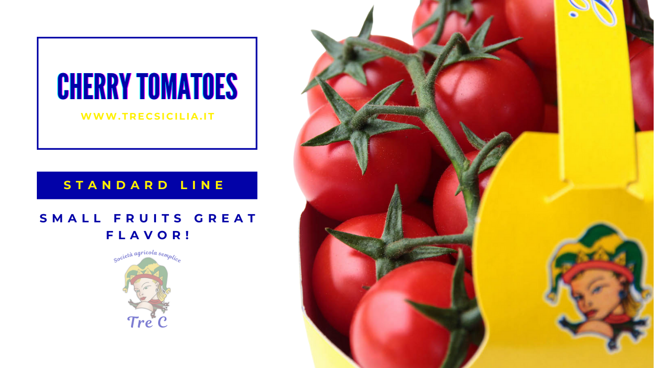 Tre C cherry tomatoes on vine