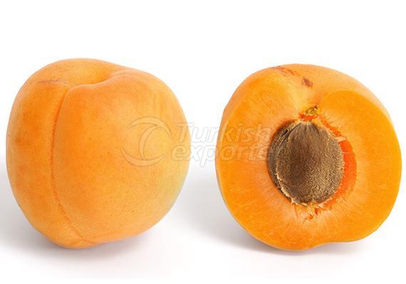 Apricot