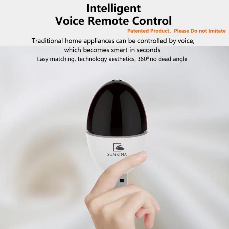 Home Voice Device