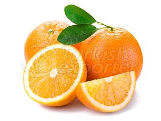 Valencia Orange