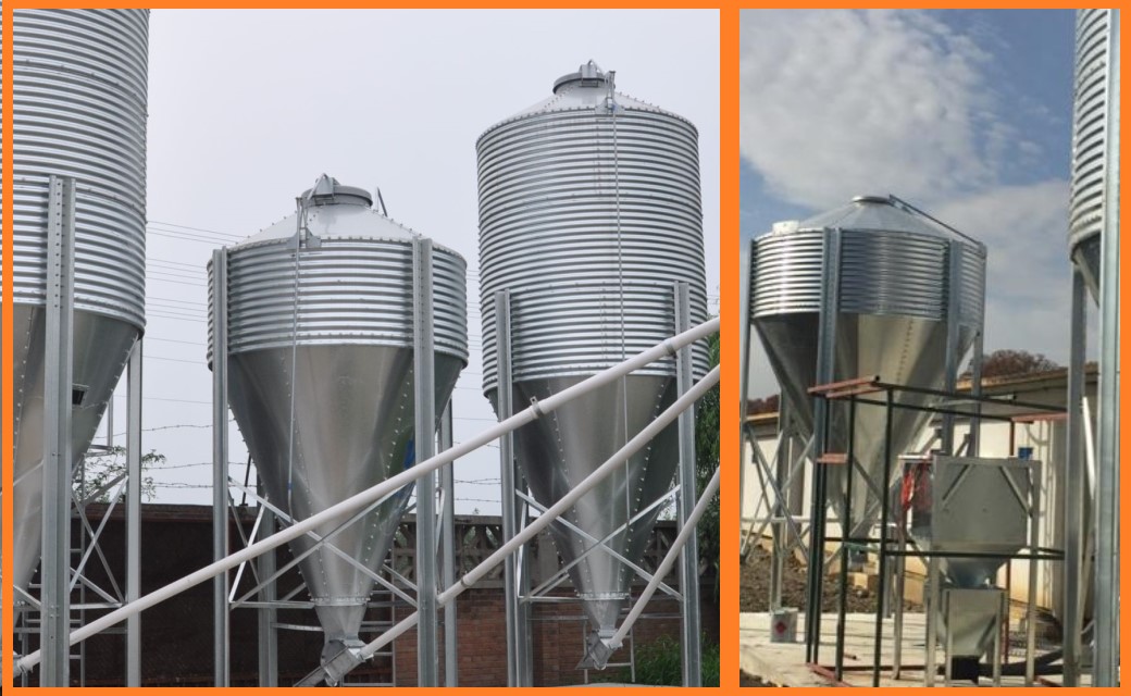 Silo de aves y sistema de transporte de alimentos