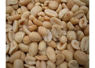 Blanched Peanut