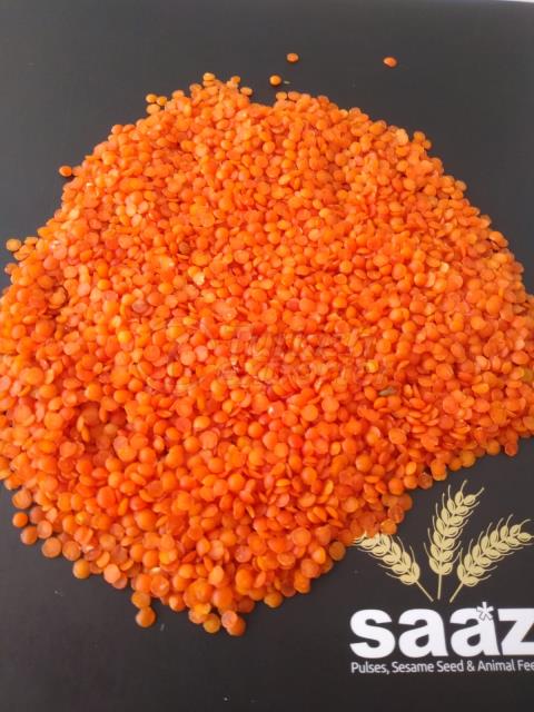 red split lentil