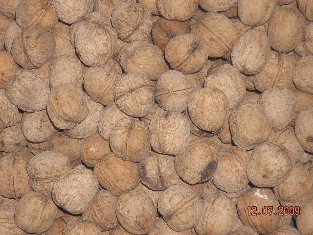 walnuts