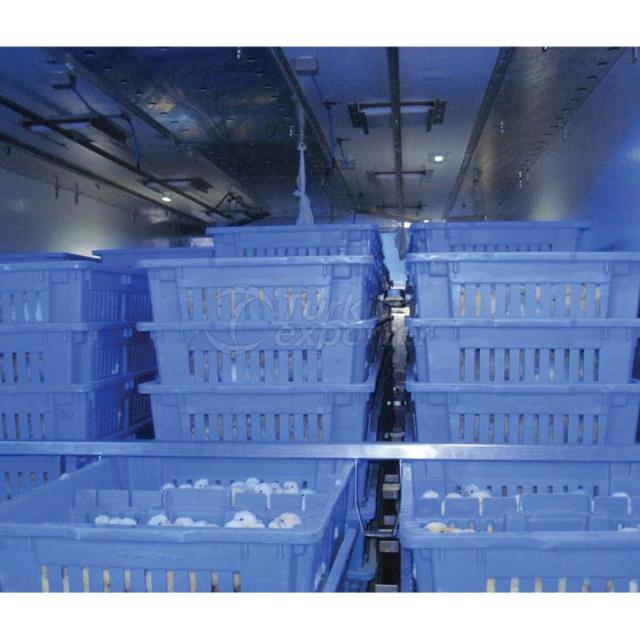 Live Chick Carrying Case