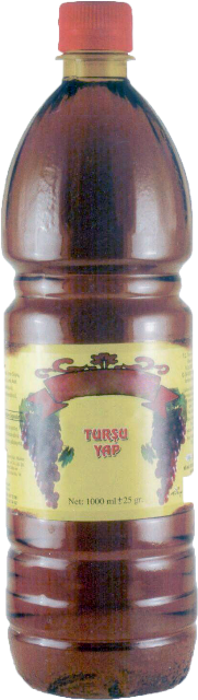 Turşu Yap