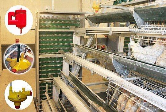 Automatic Egg Chicken(Layers) Cage Breeding Equipment