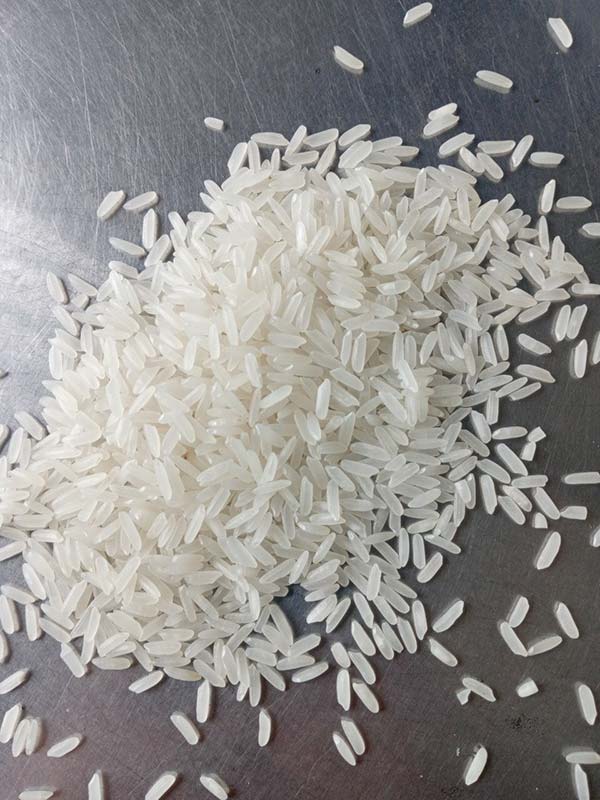 Rice 