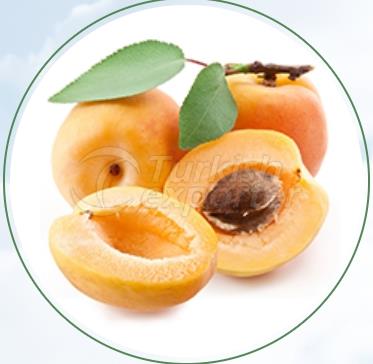 Apricot Bebeko